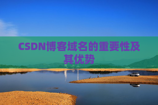 CSDN博客域名的重要性及其优势